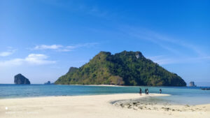 ทะเลแหวก