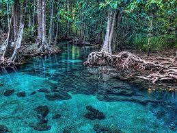 ท่าปอมคลองสองน้ำ